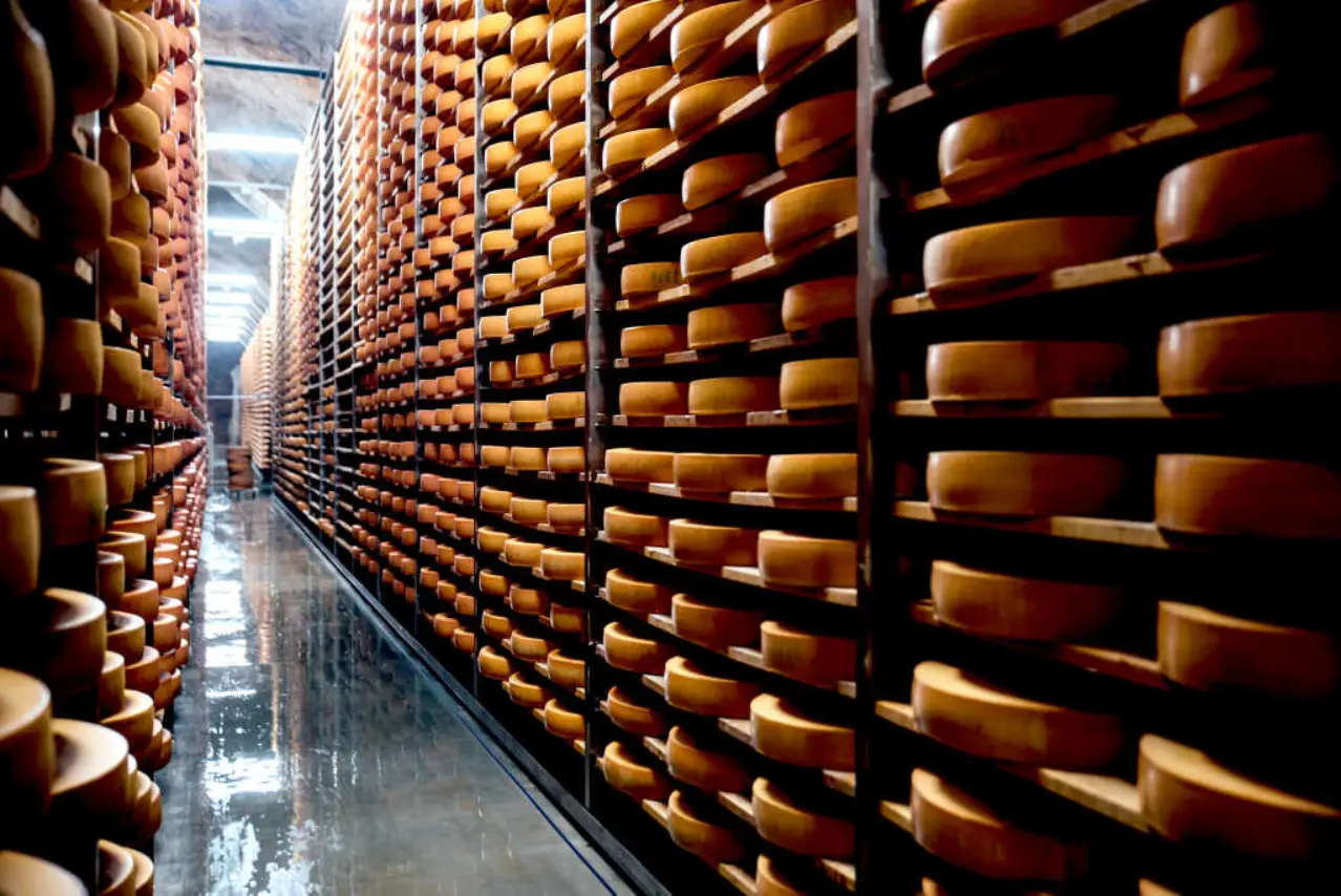 Powłoki posadzkowe dla przemysłu spożywczwego