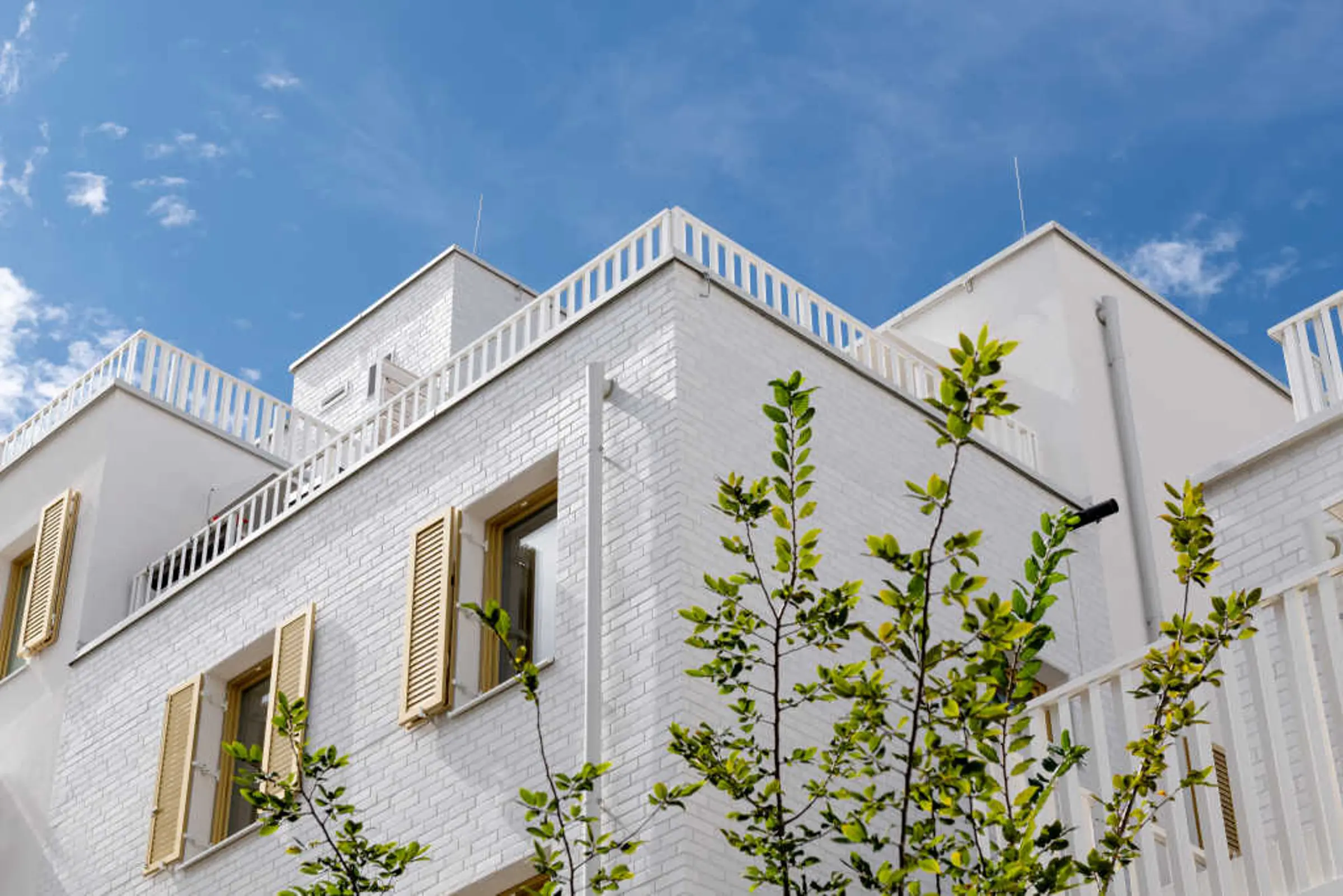 Rivus Vivere, Wiedeń