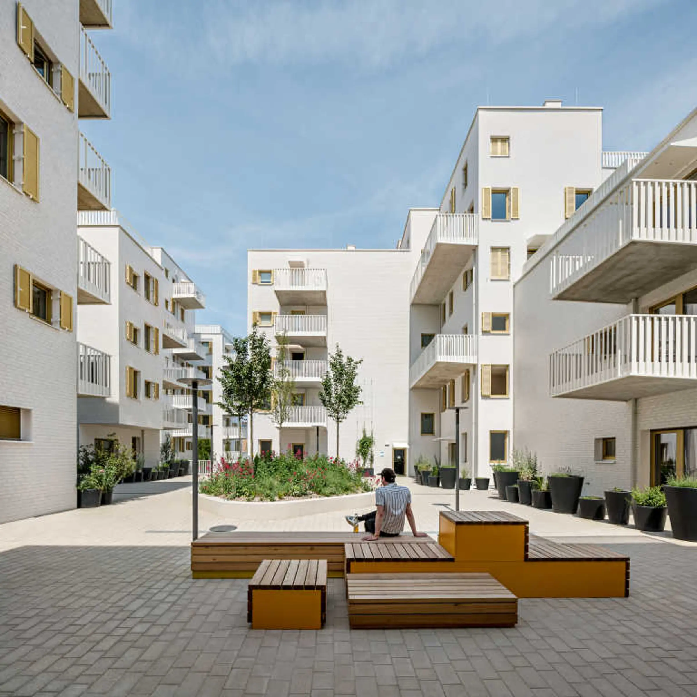 Rivus Vivere, Wiedeń