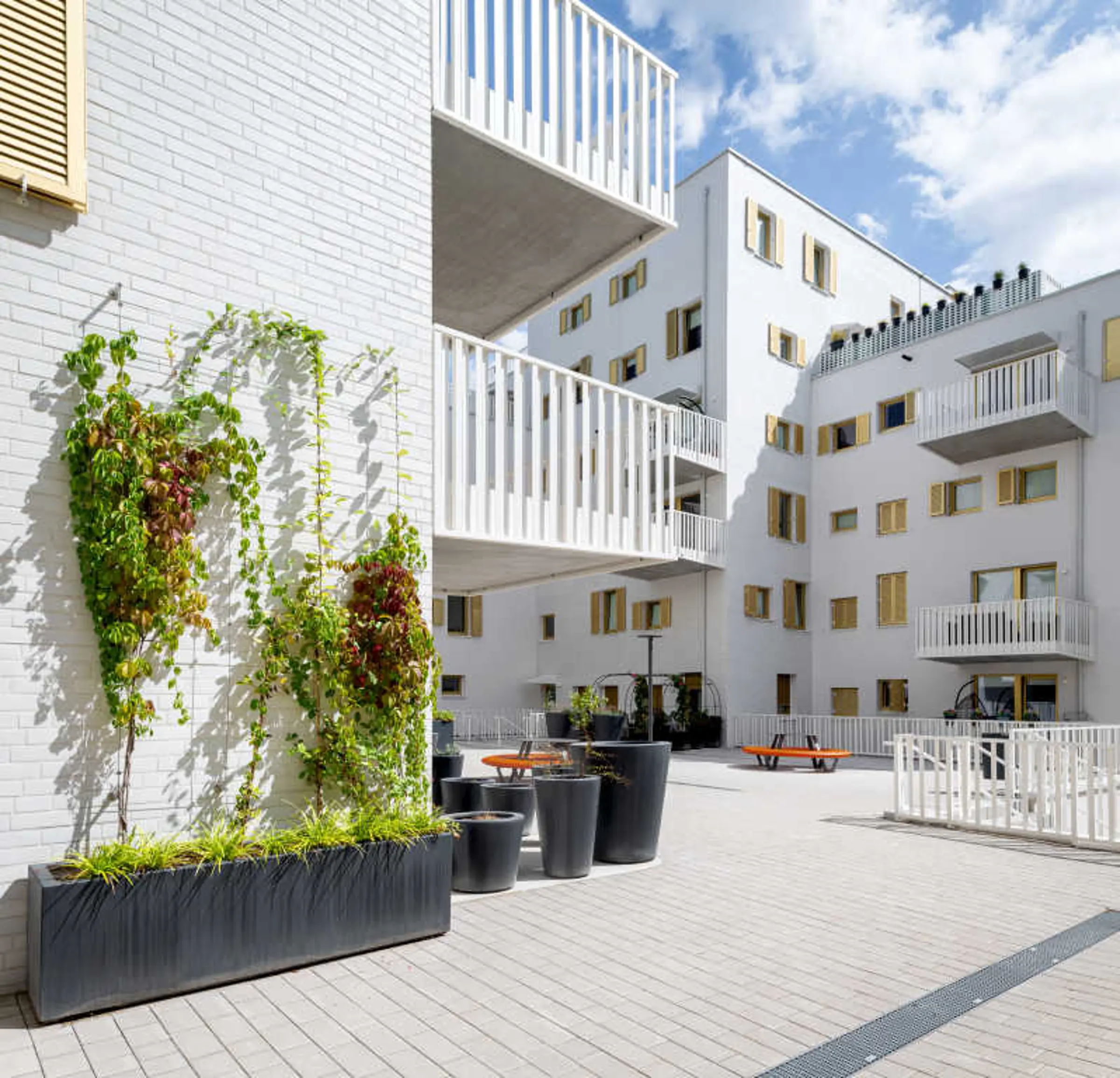 Rivus Vivere, Wiedeń