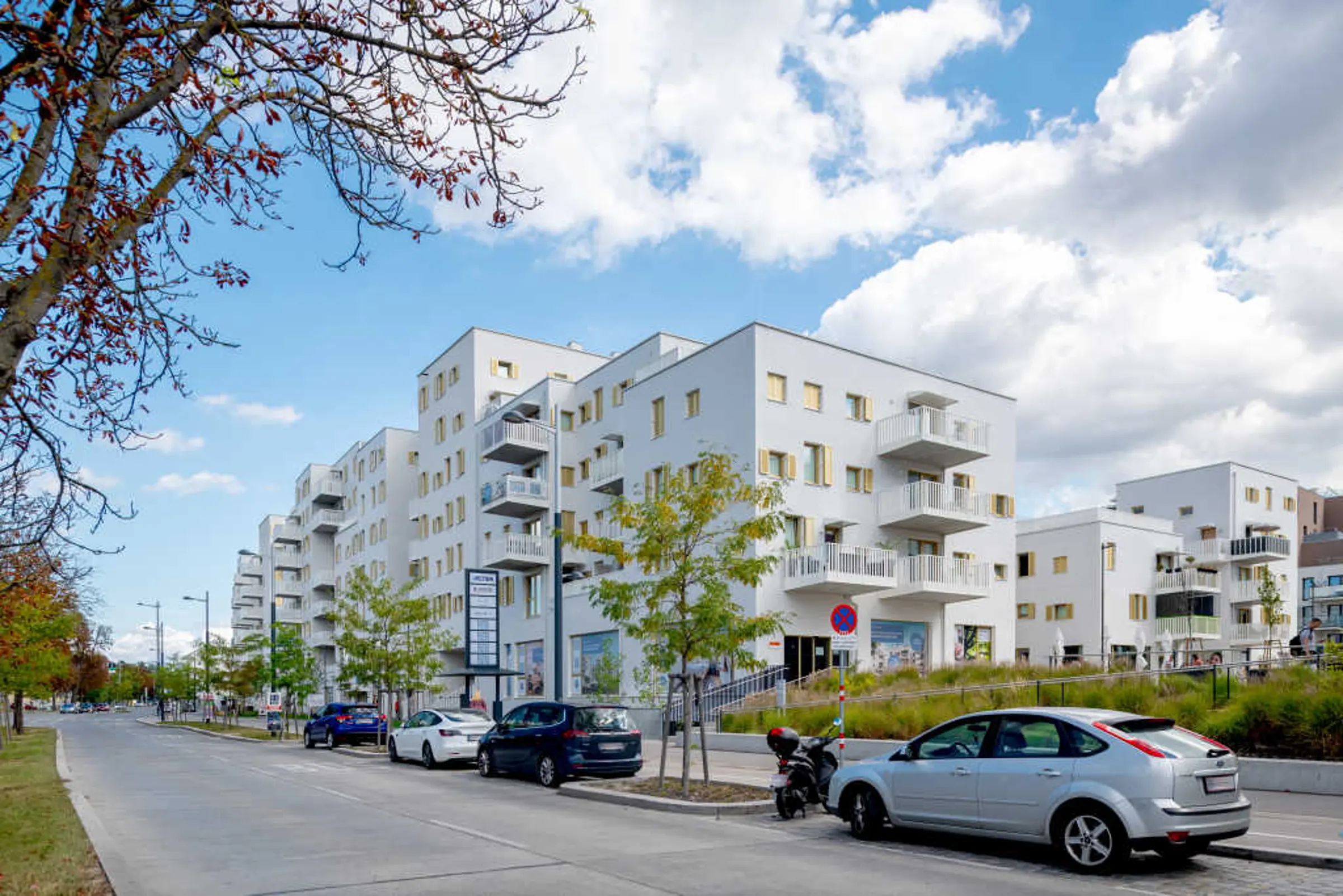 Rivus Vivere, Wiedeń