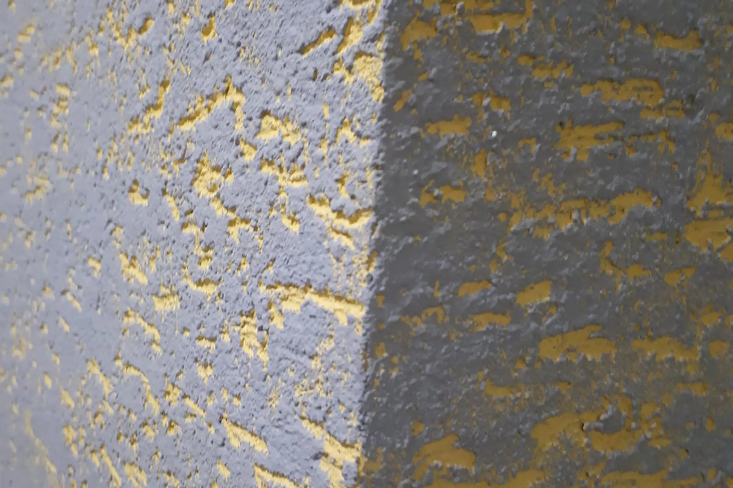 Apartamenty WB Bajda