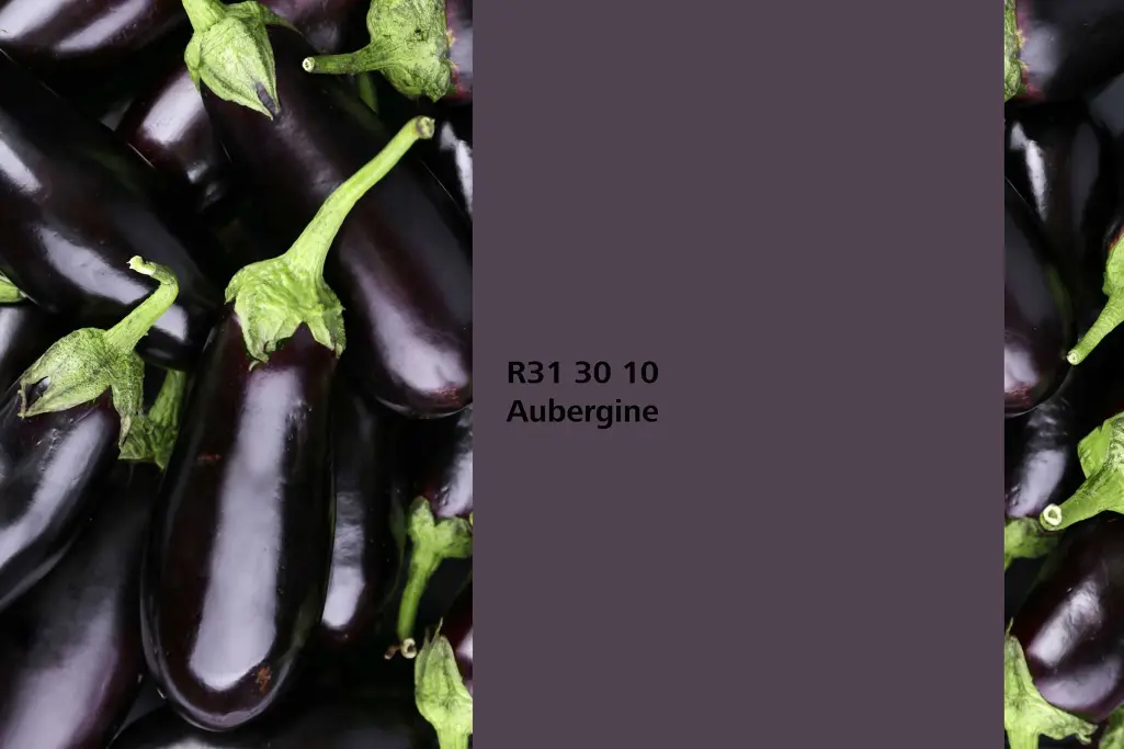 Kolor Aubergine, bakłażan, kolor natury Interior Colors 24+ von Sto
