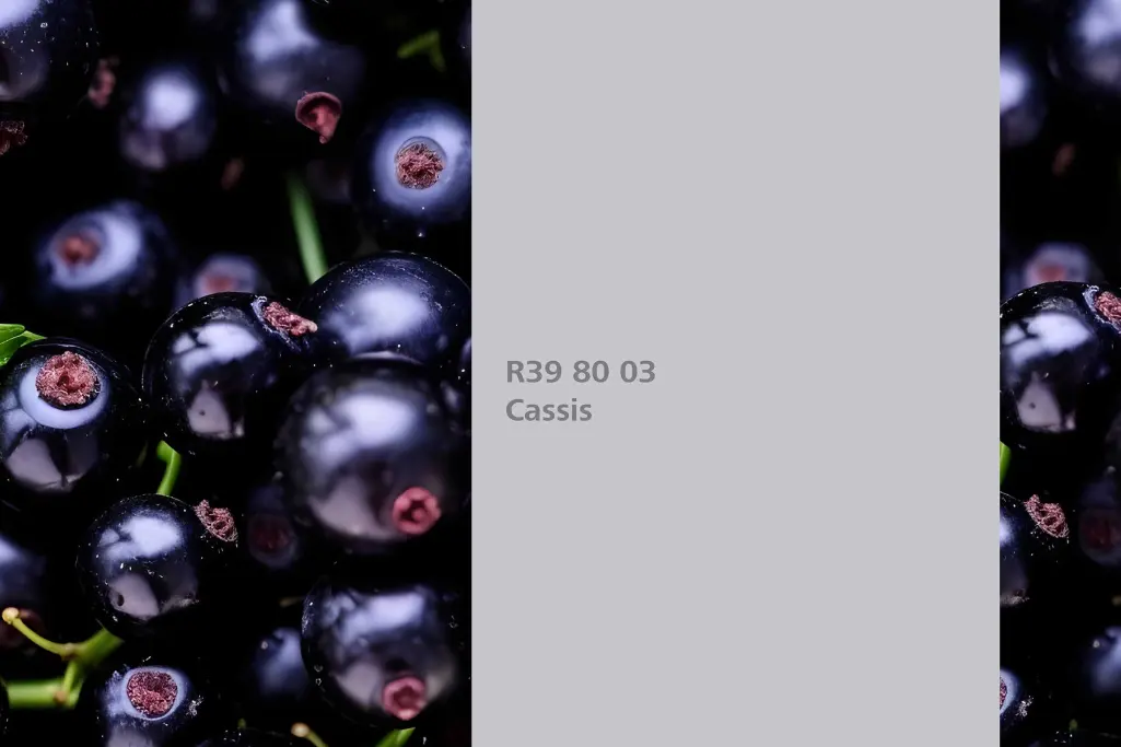 Kolor Cassis, czarna porzeczka (Ribes Nigrum), kolor natury Interior Colors 24+