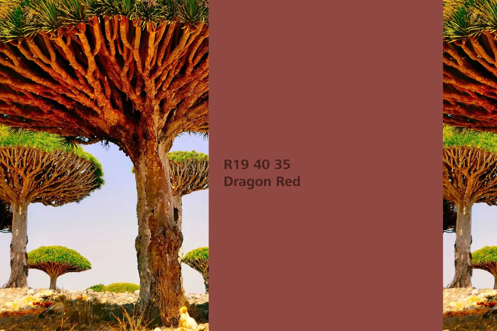 Kolor Dragon Red,drzewo smoczej krwi (Dracaena cinnab), kolor natury Interior Colors 24+