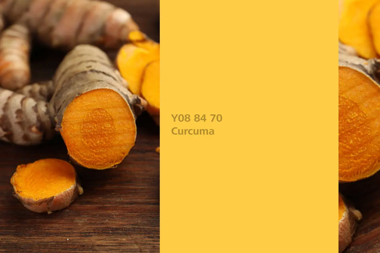Wandfarbe Kurkuma, Farbton Curcuma, Färberpflanze, Naturfarbton der Interior Colors 24+ | Sto