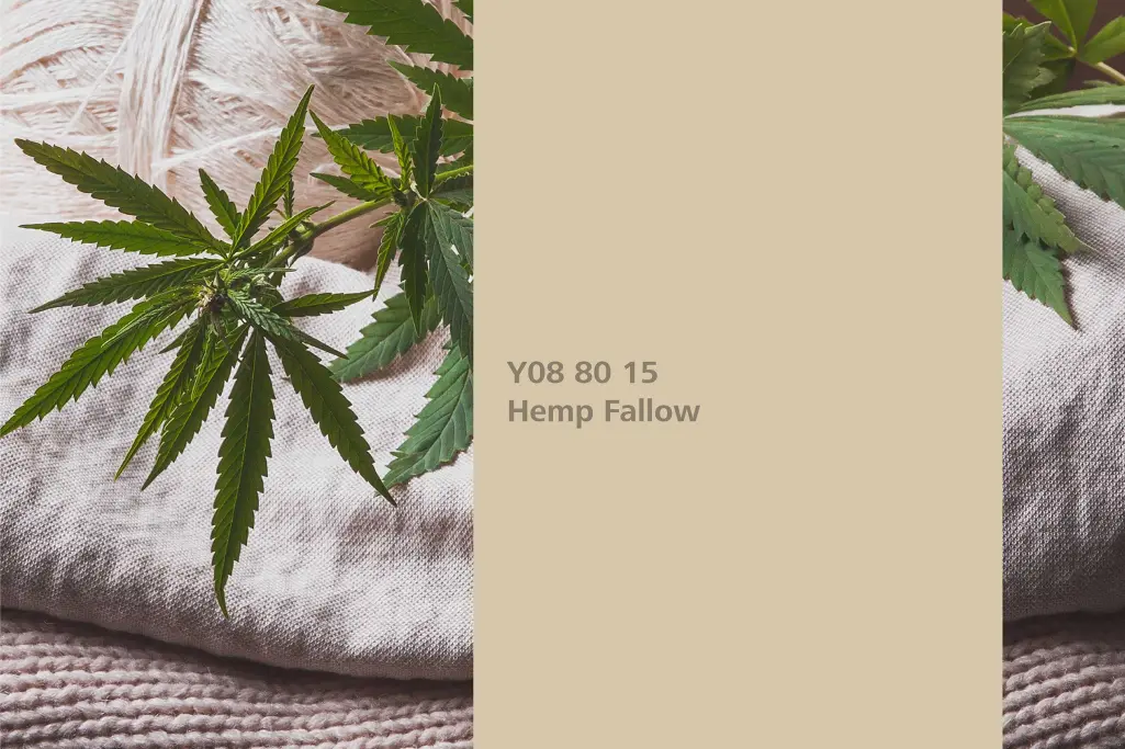kolor Hemp Fallow, konopie, kolor natury Interior Colors 24+