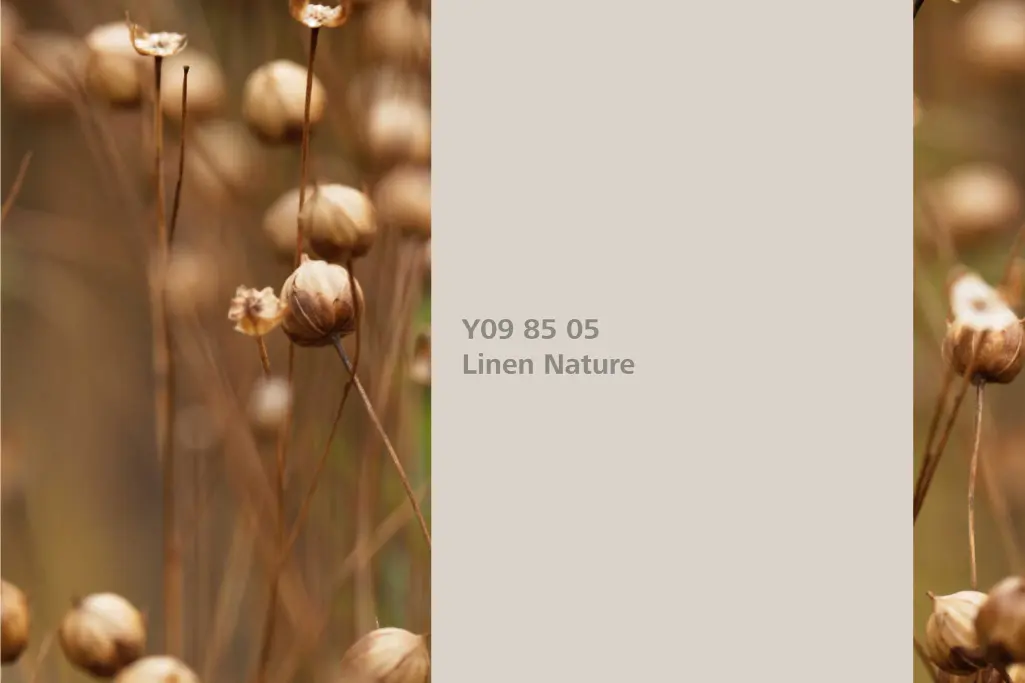 Kolor Linen Nature, len, kolor natury Interior Colors 24+