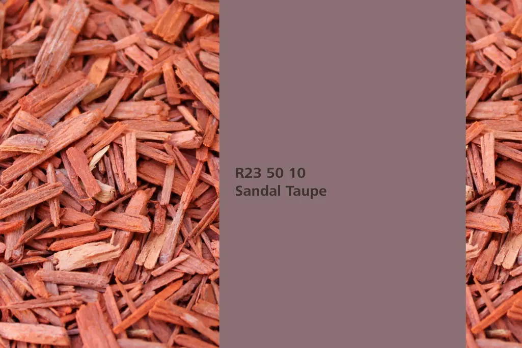 Kolor Sandal Taupe, drzewo sandałowe (Pterocarpus soyaux), kolor natury Interior Colors 24+