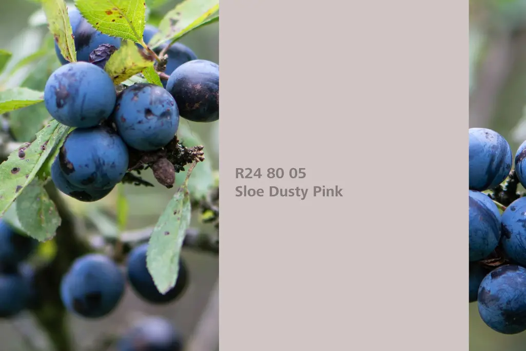 Kolor Sloe Dusty Pink, tarnina, kolor natury Interior Colors 24+