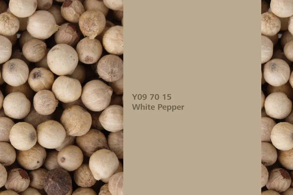 Kolor White Pepper, Owoce / nasiona krzewu pieprzu, kolor natury  Interior Colors 24+